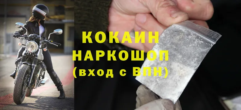 Cocaine FishScale  где можно купить   Шумерля 